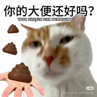 Sticker from Chinese kakashki from @nzspr