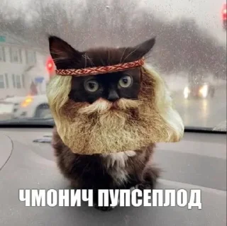 😺 emoji Плод @wentylichstick @tayaays) Telegram sticker 6 of 72