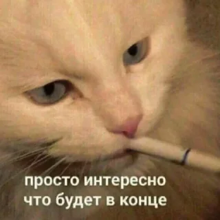🚬 emoji пак Укьзерка | @lyuMayn Telegram sticker 3 of 24