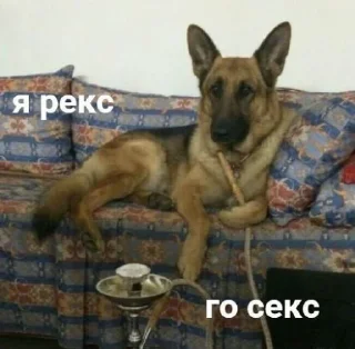 Sticker from Супер кьют @TgEmodziBot