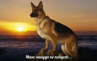 Sticker from Супер кьют @TgEmodziBot