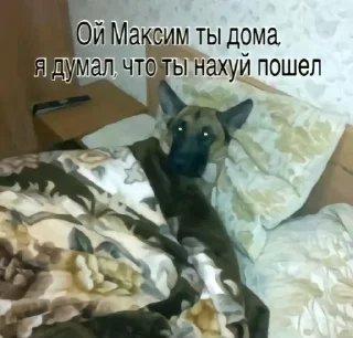 Sticker from Супер кьют @TgEmodziBot