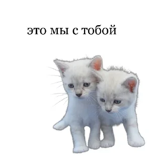 Sticker from няш мяш милаш