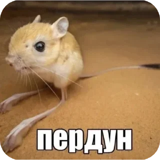 Sticker from ЧІНАЗЕС!!!