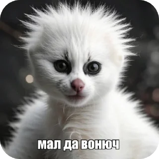 Sticker from ЧІНАЗЕС!!!