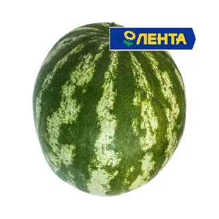 Sticker from арбузы.
