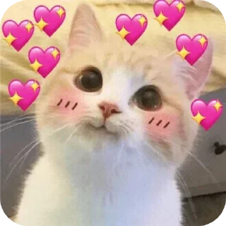 👍 emoji 𝟟.𝟘𝟛 @memocyteBot Telegram sticker 16 of 78