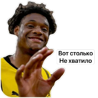 🫥 emoji @Borussia_Bundesliga Telegram sticker 17 of 89