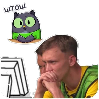 ⭐ emoji @Borussia_Bundesliga Telegram sticker 13 of 89