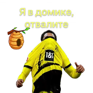 🖕 emoji @Borussia_Bundesliga Telegram sticker 10 of 89