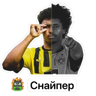 ⭐ emoji @Borussia_Bundesliga Telegram sticker 19 of 89