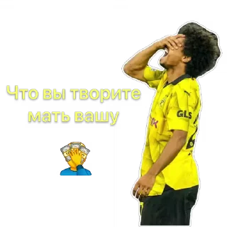 🫥 emoji @Borussia_Bundesliga Telegram sticker 9 of 89