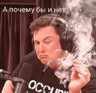 🤓 emoji Рыбные стикеры — @stckrRobot Telegram sticker 16 of 98