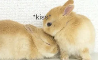 🌟 emoji Какие-то стикеры Кабачка №3 Telegram sticker 11 of 113