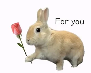 🌟 emoji Какие-то стикеры Кабачка №3 Telegram sticker 12 of 113
