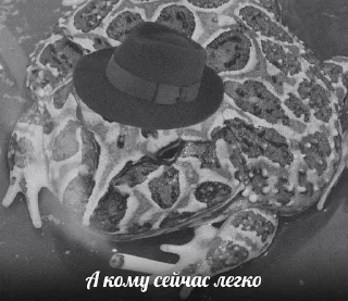 Sticker from Грусть