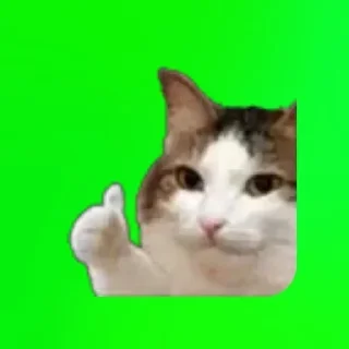 🌟 emoji Avatar chel 56 1 part Telegram sticker 17 of 61