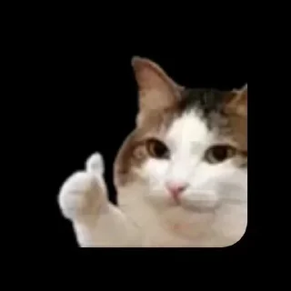 🌟 emoji Avatar chel 56 1 part Telegram sticker 24 of 61
