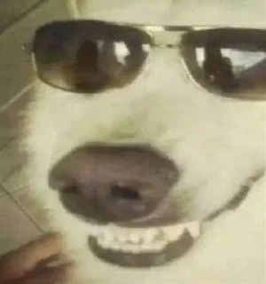 😎 emoji подкрадули Telegram sticker 22 of 104