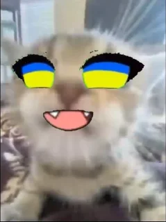 🇺🇦 emoji подкрадули Telegram sticker 18 of 104
