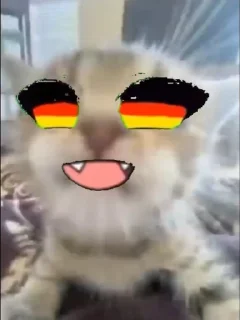 🇩🇪 emoji подкрадули Telegram sticker 19 of 104