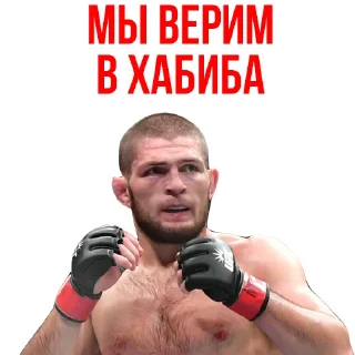 👍 emoji 🥇Khabib Nurmagomedov @stickersb2b Telegram sticker 14 of 20