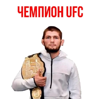 Sticker from 🥇Khabib Nurmagomedov @stickersb2b