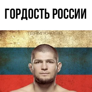 👍 emoji 🥇Khabib Nurmagomedov @stickersb2b Telegram sticker 10 of 20