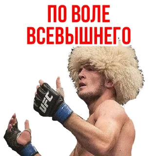 👍 emoji 🥇Khabib Nurmagomedov @stickersb2b Telegram sticker 16 of 20