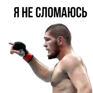 🤬 emoji 🥇Khabib Nurmagomedov @stickersb2b Telegram sticker 19 of 20
