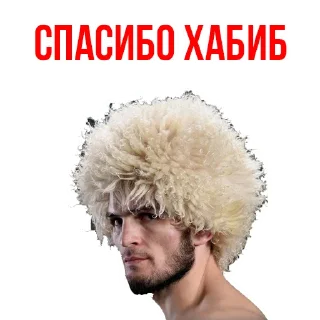 👍 emoji 🥇Khabib Nurmagomedov @stickersb2b Telegram sticker 13 of 20