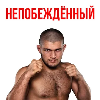 Sticker from 🥇Khabib Nurmagomedov @stickersb2b