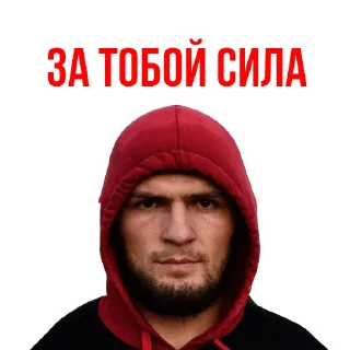 👍 emoji 🥇Khabib Nurmagomedov @stickersb2b Telegram sticker 15 of 20