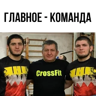 👍 emoji 🥇Khabib Nurmagomedov @stickersb2b Telegram sticker 17 of 20
