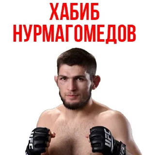Sticker from 🥇Khabib Nurmagomedov @stickersb2b
