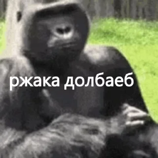 🙈 emoji макичи Telegram sticker 24 of 61