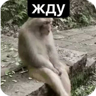 😎 emoji макичи Telegram sticker 10 of 61