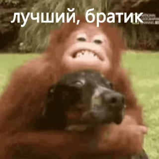 ❤️ emoji макичи Telegram sticker 18 of 61