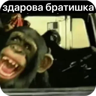 😔 emoji макичи Telegram sticker 17 of 61