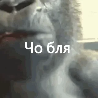 😳 emoji макичи Telegram sticker 2 of 61