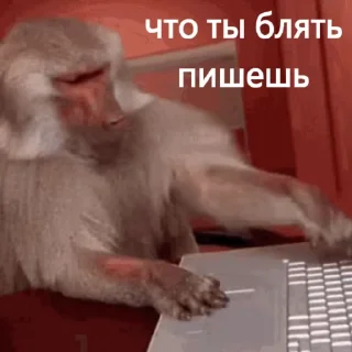 😜 emoji макичи Telegram sticker 14 of 61