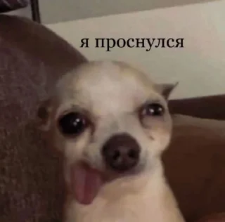 😱 emoji Стикеры @stickrubot @textmeru_bot Telegram sticker 19 of 65