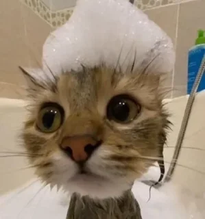 🌟 emoji Мило🌸 Telegram sticker 9 of 11