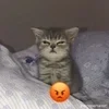 🌟 emoji ТАКСИ Telegram sticker 16 of 18