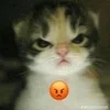 🌟 emoji ТАКСИ Telegram sticker 17 of 18