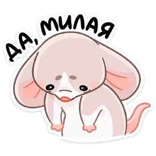 😅 emoji Мой стикерпак @moyi_stikery_bot Telegram sticker 24 of 48