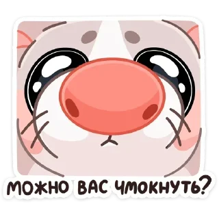 😃 emoji Мой стикерпак @moyi_stikery_bot Telegram sticker 8 of 48