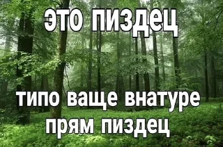 😆 emoji Жизненные картинки Telegram sticker 15 of 99