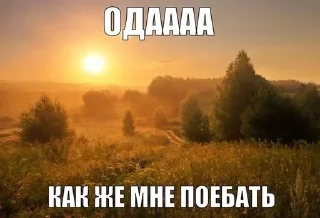 🫶 emoji Жизненные картинки Telegram sticker 16 of 99