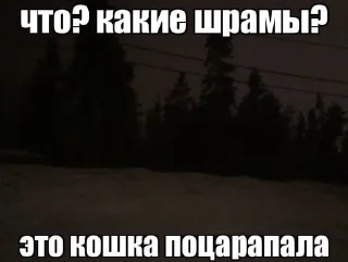 😐 emoji Жизненные картинки Telegram sticker 2 of 99